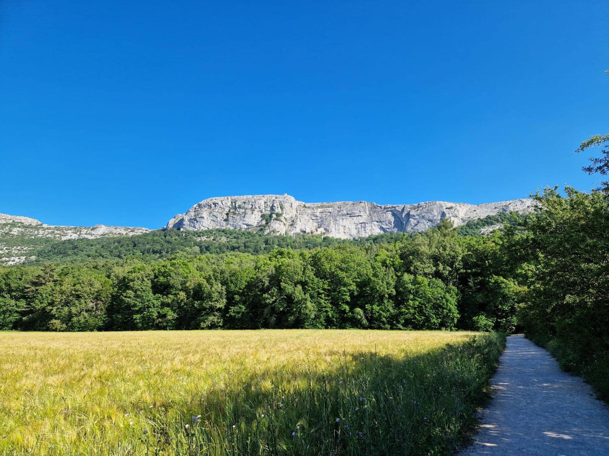 Apartamento Bastide Saint Supin Tourves Exterior foto